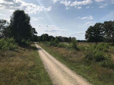 Holiday park Chalet in Zell am See near Ski Slope - Environment photo 23