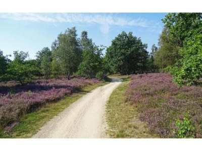 Holiday park Chalet in Zell am See near Ski Slope - Environment photo 29