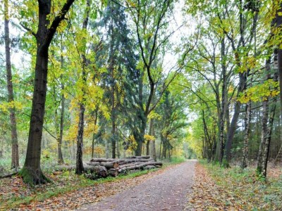 Holiday park Chalet in Markelo mit Sauna für 4 Von Belvilla - Environment photo 34