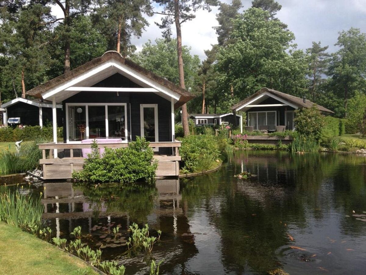 Holiday park Charming Pondside Chalet