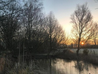 Holiday park Charming Pondside Chalet - Environment photo 10