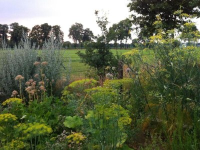 Holiday park Charming Pondside Chalet - Environment photo 16