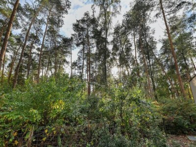 Holiday park Charming Pondside Chalet - Environment photo 26