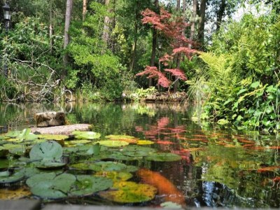 Holiday park Chalet am Wald für 4 Pers. Von Belvilla - Environment photo 17