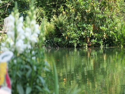 Holiday park Chalet am Wald für 4 Pers. Von Belvilla - Environment photo 23