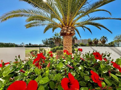 Apartment Apartment near Playa Serena & Golf Club - Outdoor photo 3