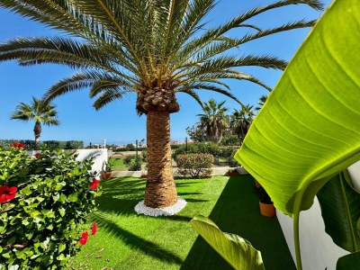 Apartment Apartment near Playa Serena & Golf Club - Outdoor photo 7