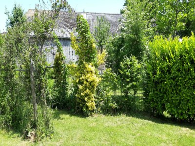 Holiday house Ferienhaus und Mobilheim mit großem Garten - Outdoor photo 9