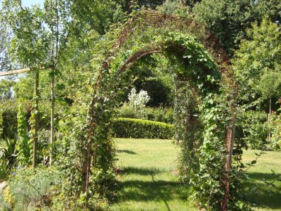 Holiday house Ferienhaus und Mobilheim mit großem Garten - Outdoor photo 11