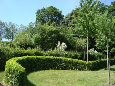 Holiday house Ferienhaus und Mobilheim mit großem Garten - Outdoor photo 16