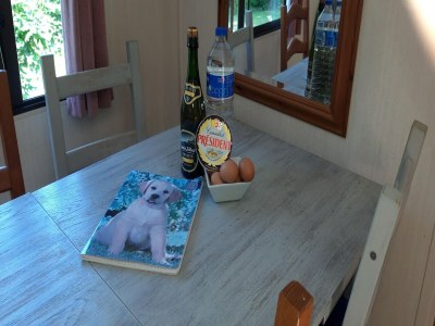 Holiday house Ferienhaus und Mobilheim mit großem Garten - Features photo 35