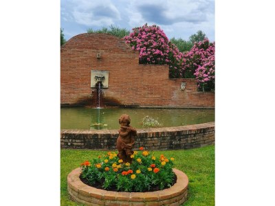 Holiday house Caseta Trudy - Outdoor photo 6