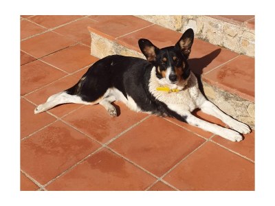 Holiday house Caseta Trudy - Outdoor photo 9