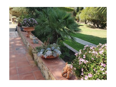 Holiday house Caseta Trudy - Outdoor photo 10