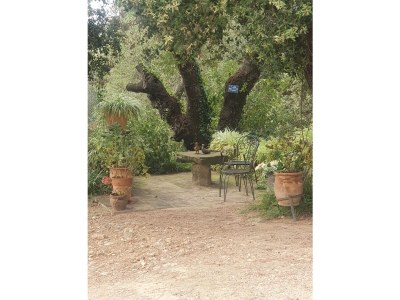 Holiday house Caseta Trudy - Outdoor photo 14