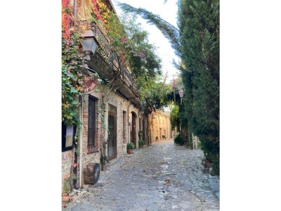 Holiday house Caseta Trudy - Environment photo 20