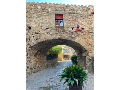 Holiday house Caseta Trudy - Environment photo 21