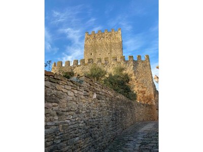 Holiday house Caseta Trudy - Environment photo 22