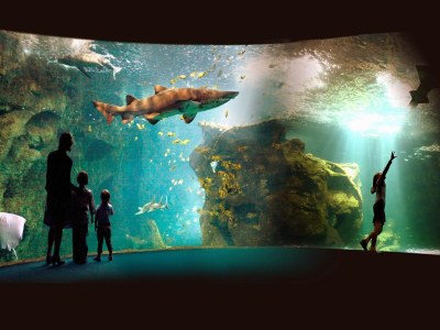 Holiday park Villa mit Garten in der Nähe des Golfplatzes - Environment photo 10