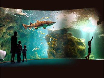 Holiday park Villa mit Garten in der Nähe des Golfplatzes - Environment photo 29