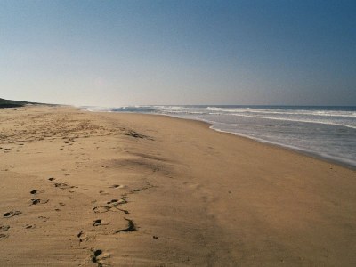 Holiday house Modern and spacious holiday home – only five minutes to the Atlantic - Environment photo 19