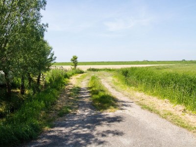 Apartment Appartement Boerderij in Strandnähe - Environment photo 16