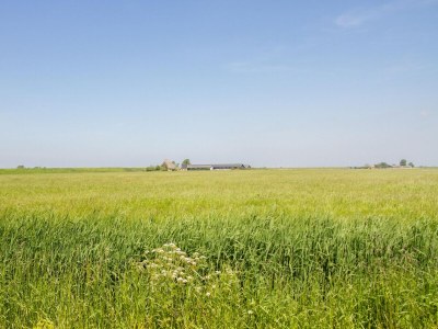 Apartment Appartement Dijkzicht near Schagen - Environment photo 12