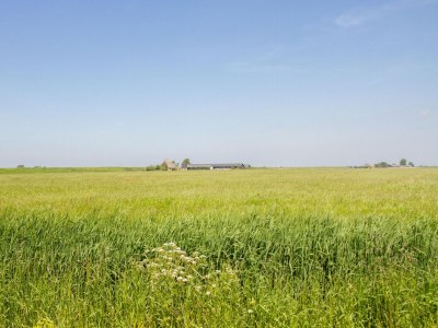 Apartment Appartement Nostalgisch auf dem Bauernhof Scholp - Environment photo 17