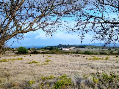 Holiday house Villa Lezard vert - Environment photo 18