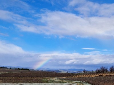 Holiday house Villa Lezard vert - Environment photo 20