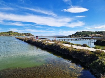 Holiday house Villa Lezard vert - Environment photo 23