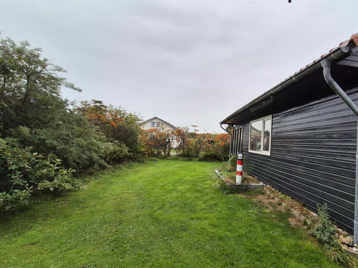 Holiday house Ferienhaus De Waterlelie - Outdoor photo 4