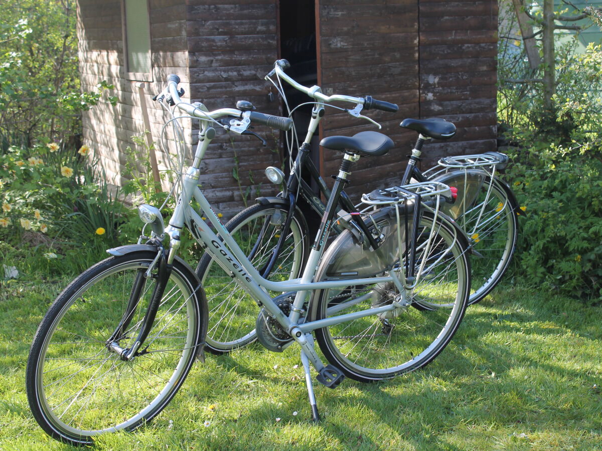 Holiday house Ferienhaus De Waterlelie - Outdoor photo 5