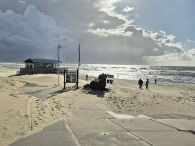 Holiday house Ferienhaus De Waterlelie - Environment photo 24