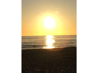 Holiday house Ferienhaus De Waterlelie - Environment photo 30