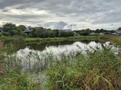 Holiday house Ferienhaus De Waterlelie - Environment photo 33