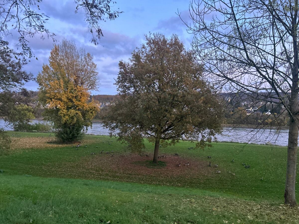 Holiday apartment Seibel - Outdoor photo 4