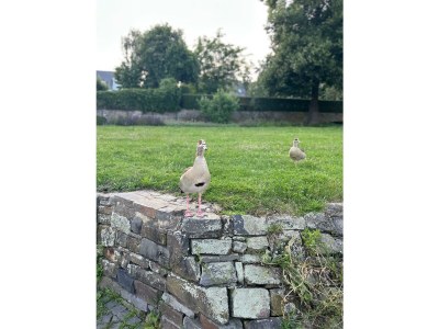 Holiday apartment Seibel - Environment photo 31