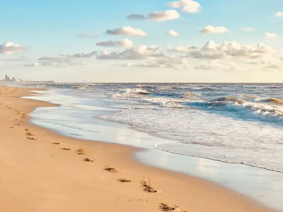 Chalet Duinpan Wasser 9 - Environment photo 19