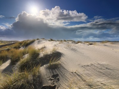 Chalet Duinpan Wasser 9 - Environment photo 20