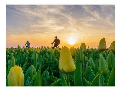 Chalet Wellness Nomade - Environment photo 12