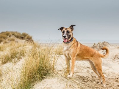 Chalet Wellness Nomade - Environment photo 14