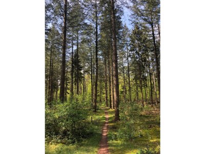 Chalet Wellness Nomade - Environment photo 17