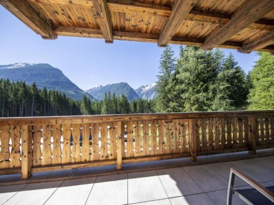 Holiday park Chalet in Neukirchen near Ski Lift - Outdoor photo 8