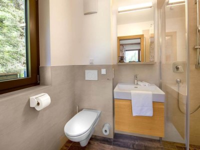 Holiday park Chalet in Neukirchen near Ski Lift - Features photo 21