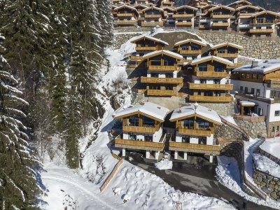 Holiday park Chalet in Neukirchen near Ski Lift - Environment photo 39