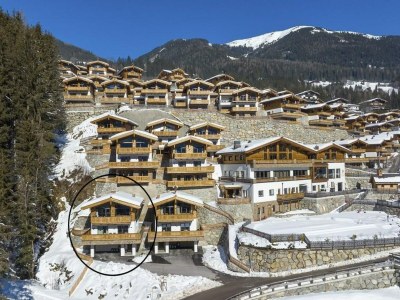 Holiday park Chalet in Neukirchen near Ski Lift - Environment photo 43