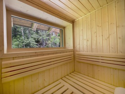 Holiday park Chalet in Neukirchen near Ski Lift - Outdoor photo 47