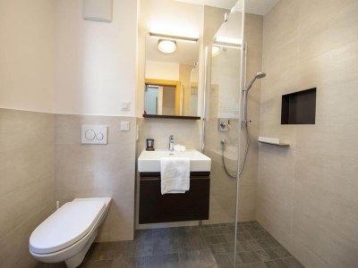 Holiday park Chalet in Neukirchen near Ski Lift - Features photo 22