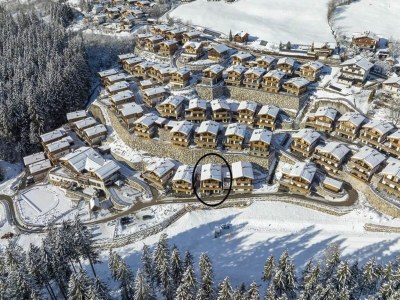 Holiday park Chalet in Neukirchen near Ski Lift - Environment photo 28